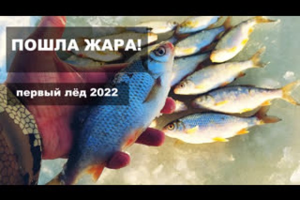 Даркнет вход