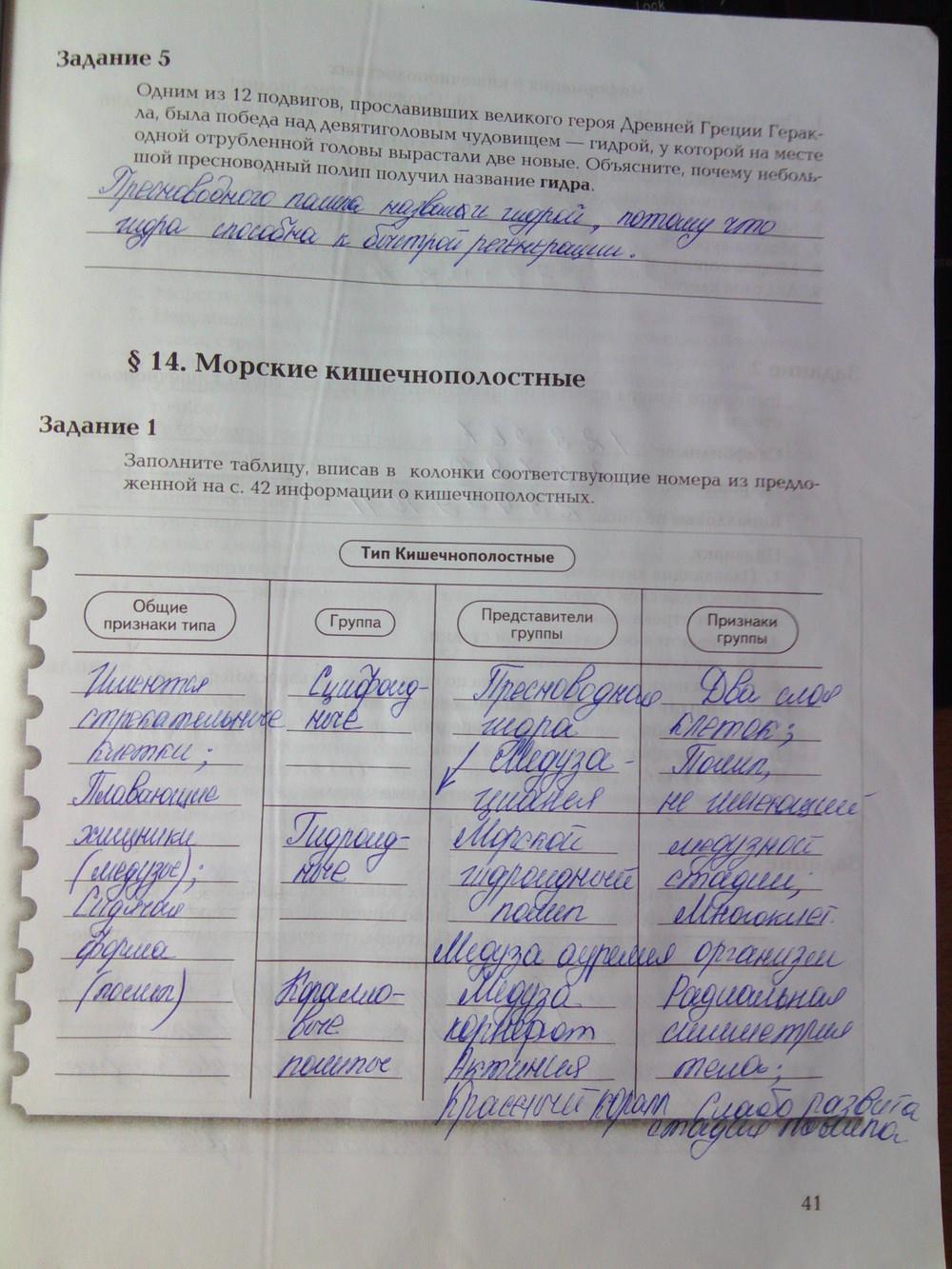 Сайты для даркнета
